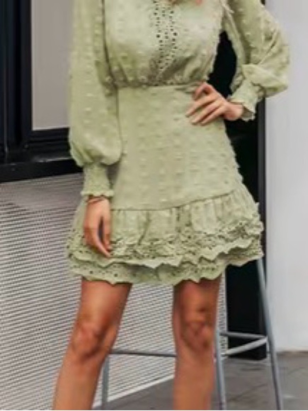 (NWT) Light Green Textured Dress Swiss dot layered lined long sleeve dress sz 8